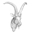 Goat-Head.png Goat Head