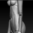 mao.png BJD- Articulated female body: Elf/anime/western heads