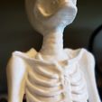 Zen Skeleton Halloween statue decoration