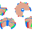 Hepatic_Color.png Hepatic Lobule Anatomy