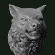 Wolf7.jpg Wolf head 3D print model
