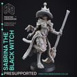 sabrina-the-black-witch-5.jpg Black Witch Tabaxi - Tabaxi Caravan - PRESUPPORTED - 32mm scale - Illustrated & Stats