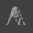 gorsel_2025-12-31_053255038.png Attacking Anatolian Shepherd Dog (Kangal) - 2 version