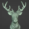 Screenshot-2024-03-10-161656.png Wood elf stag mount
