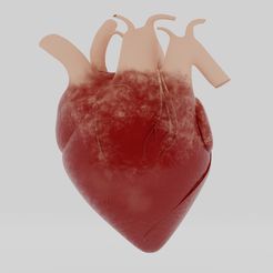 CorazonA.jpg Download OBJ file Human Heart model • 3D printing design, EB-DESIGN-3D
