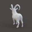 Ibex_1.4.jpg Фигурка горного козла