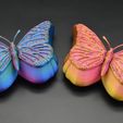 DSC_9853.jpg Butterfly jewelry box