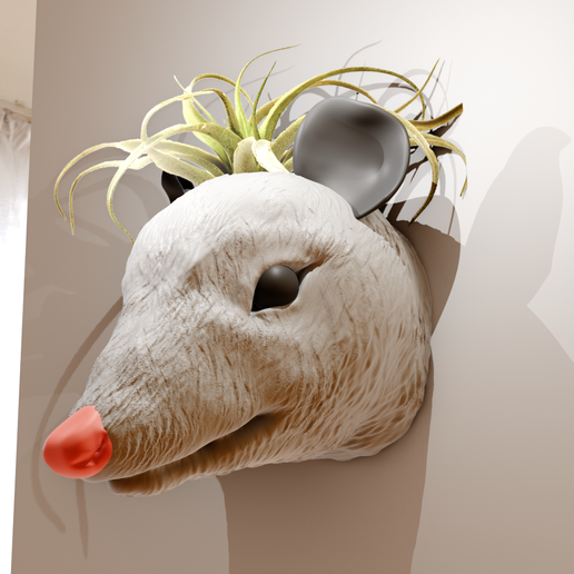 Opossum head wall mount planter pot flower vase stl 3D model