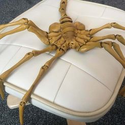 fl_top.JPG Бесплатный STL файл Agisis Face Hugger (simplified)・Шаблон для 3D-печати для загрузки