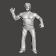 Screenshot-1074.png WWE WWF LJN Style Terry Funk Figure