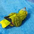 IMG_20230529_152743241.jpg Amazon Parrot Keychain