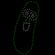 Larry-xLights-AI-Phoneme-Eyes-Open-Square-Size.png Larry the Cucumber