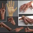 20.webp Human anatomy collection, realistic in 3d, all parts of the body in 3d in 360 degrees, in 3d