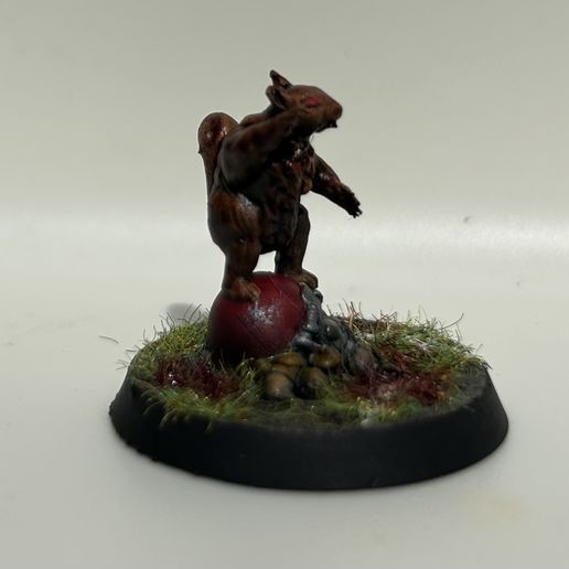 Squirrel star player