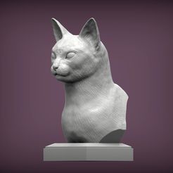 abyssinian-cat1.jpg Archivo STL busto de gato abisinio modelo de impresión 3D・Modelo de impresión 3D para descargar