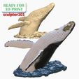 Humpback-Whale-off-the-Water-1200x1200.jpg Humpback Whale Head off the Water 3D printable model