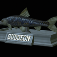 Gudgeon-statue-16.png fish gudgeon / gobio gobio statue detailed texture for 3d printing
