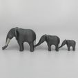 IMG_4249-(2).jpg African Elephant Mama & Babies