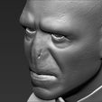 23.jpg Lord Voldemort bust ready for full color 3D printing