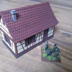 P01.jpg Small timbered house