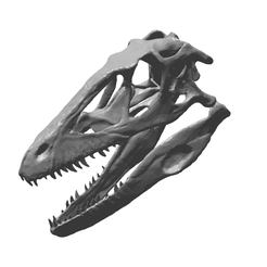 1.png Archivo OBJ cráneo de dinosaurio・Plan de impresora 3D para descargar