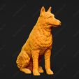 1623-Belgian_Shepherd_Dog_Laekenois_Pose_05.jpg Belgian Shepherd Dog Laekenois Dog 3D Print Model Pose 05