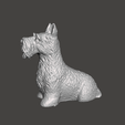 2021-09-22-16_45_21-Window.png SCOTTISH TERRIER DOG MASCOT FIGURINE