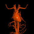 6.png 3D Model of Cardiovascular System, Thorax and Abdomen