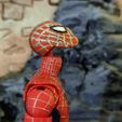 IMG_20230910_095938_726.jpg Spider-man (Tobey Maguire) Marvel Legends Head
