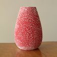 IMG_9391.JPG Diploria Coral Vase