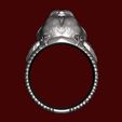 5.jpg 3D Exotic Bully Ring