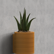 Wave-ripple.png WALL MOUNTED PLANTER POT WITH DRIP TRAY - SAND DUNE DESIGN
