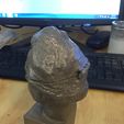 IMG_0154.JPG STL file Picking Einstein's Brain・3D printable model to download