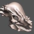 vue-03.jpg Pachycephalosaurus 3D skull