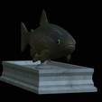 Trout-statue-8.png fish rainbow trout / Oncorhynchus mykiss statue detailed texture for 3d printing