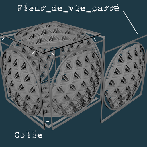 Montage_avec_fleur_de_vie_carré.png Fleur de Vie cube