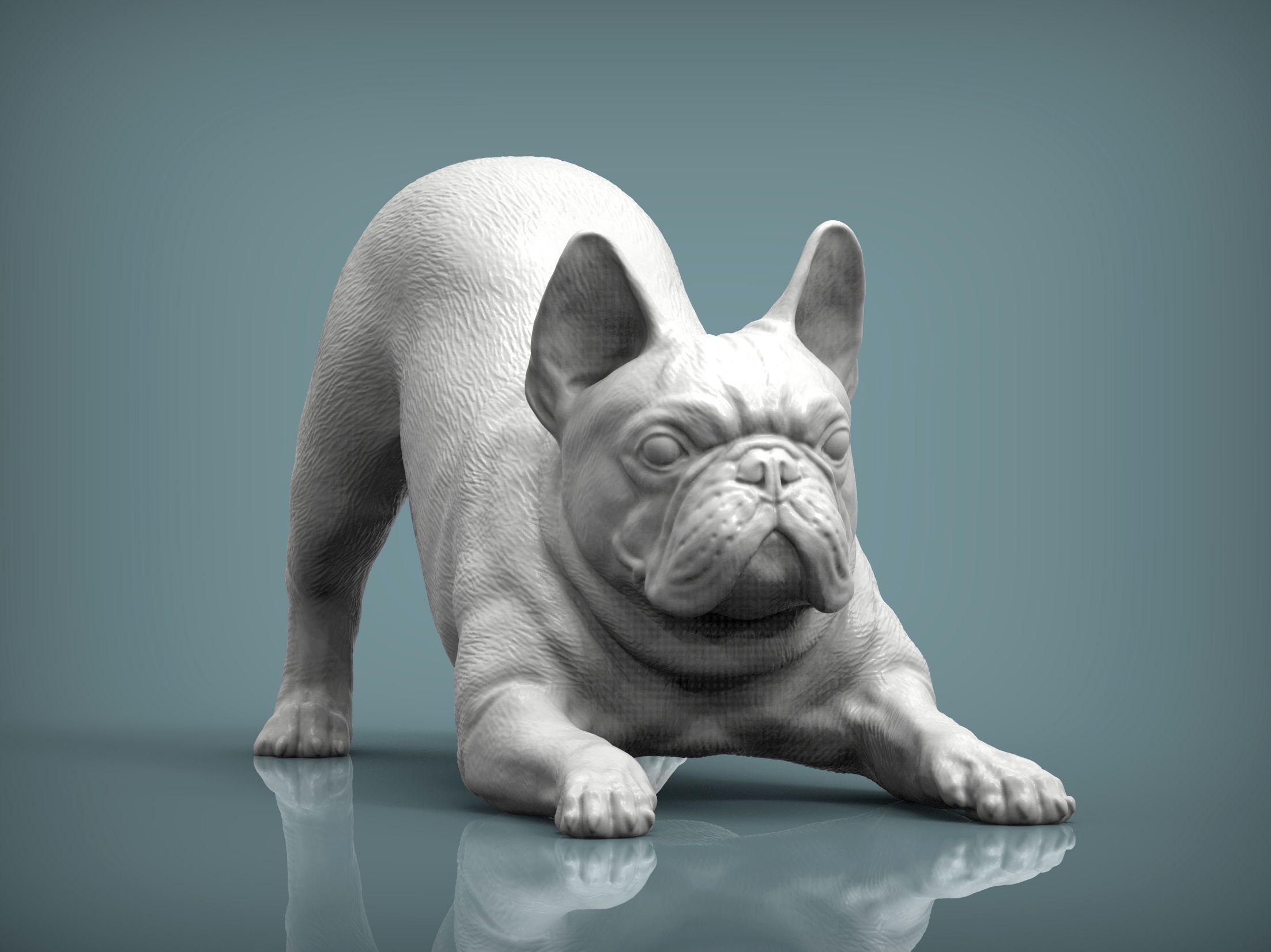 French-Bulldog4.jpg Archivo 3D Modelo de impresión en 3D de un Bulldog Francés・Objeto imprimible en 3D para descargar, akuzmenko