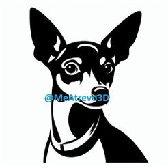 7.jpeg Pinscher nain #7