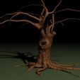 OLD-TREE-A.jpg Fichier STL Vieil arbre・Plan pour imprimante 3D à télécharger