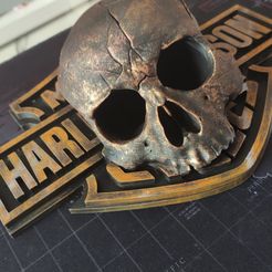 IMG_20230923_151139.jpg Fichier STL Skull on Harley Davidson v2・Design imprimable en 3D à télécharger