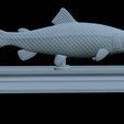 Trout-money-9.png fish sculpture of a trout with storage space for 3d printing