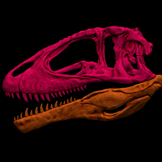8.png 3D-печатная модель черепа кархародонтозавра