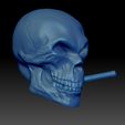 Shop2.jpg Skull Skull with cigar