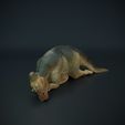 Parasaurolophus_baby_sleeping_4.jpg Спящий детеныш паразауролофа