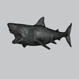 Wireframe.png Great White Shark