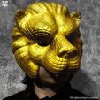 243279403_10226856245971266_3810537779953043468_n.jpg Squid Game Mask - Vip Lion Mask 3D print model