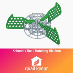 kebonnix-quail-hatching-dividers-promo.jpg Kebonnix Quail Hatching Dividers