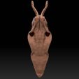 2.jpg Rotten Slug - Dark Souls 3