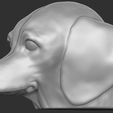 12.jpg Puppy of Dachshund dog head for 3D printing
