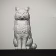 1769344052538.jpg Cat whiskers (Pet Hair) holder - Cat sculpture